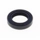 OIL SEALS