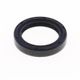 OIL SEALS