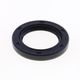 OIL SEALS
