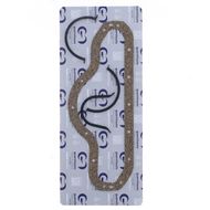 Oil Sump Gasket