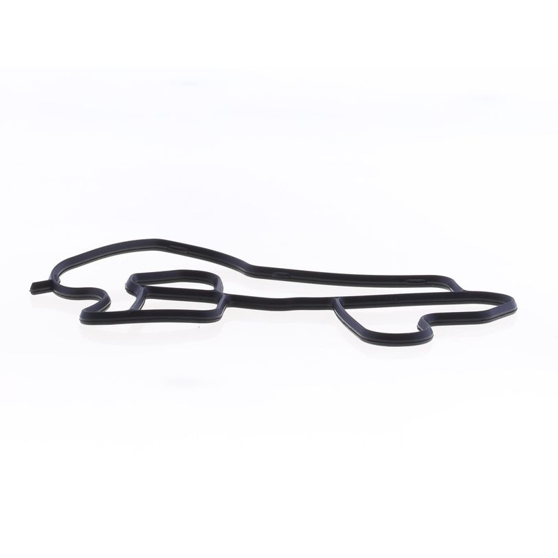 Oli Filter Gasket