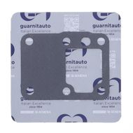 Oli Filter Gasket