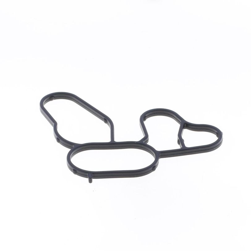 Oli Filter Gasket