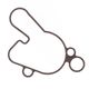 Oli Filter Gasket
