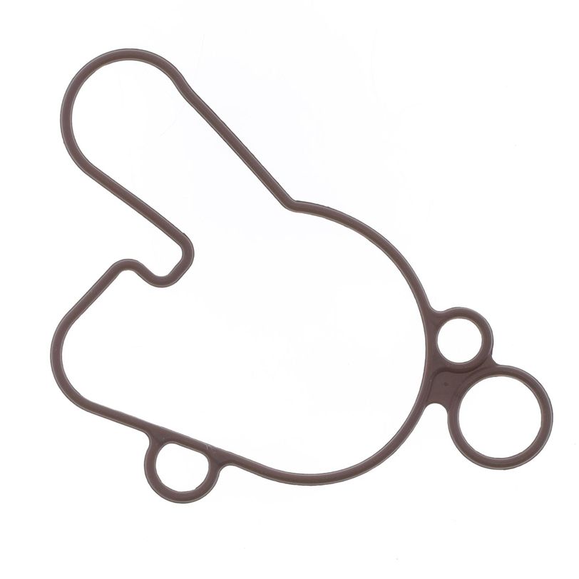 Oli Filter Gasket