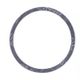 Oli Filter Gasket