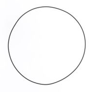 Outer Clutch Cover O-ring