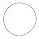 Outer Clutch Cover O-ring