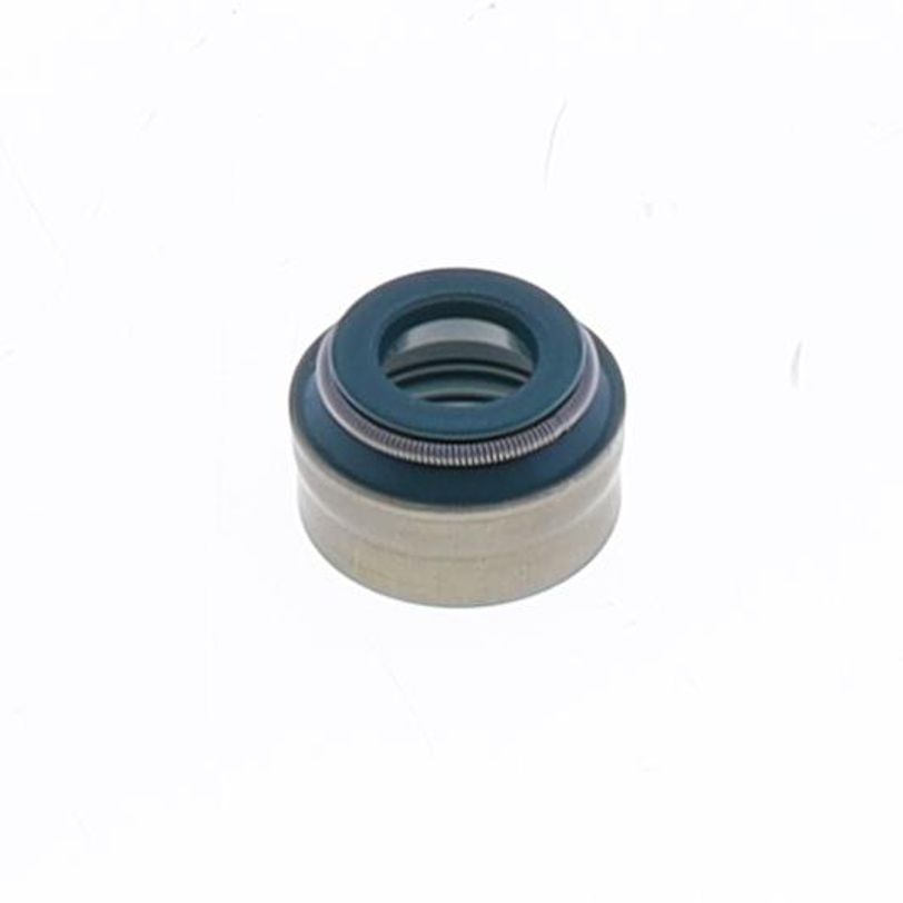 Paraolio Guidavalvola