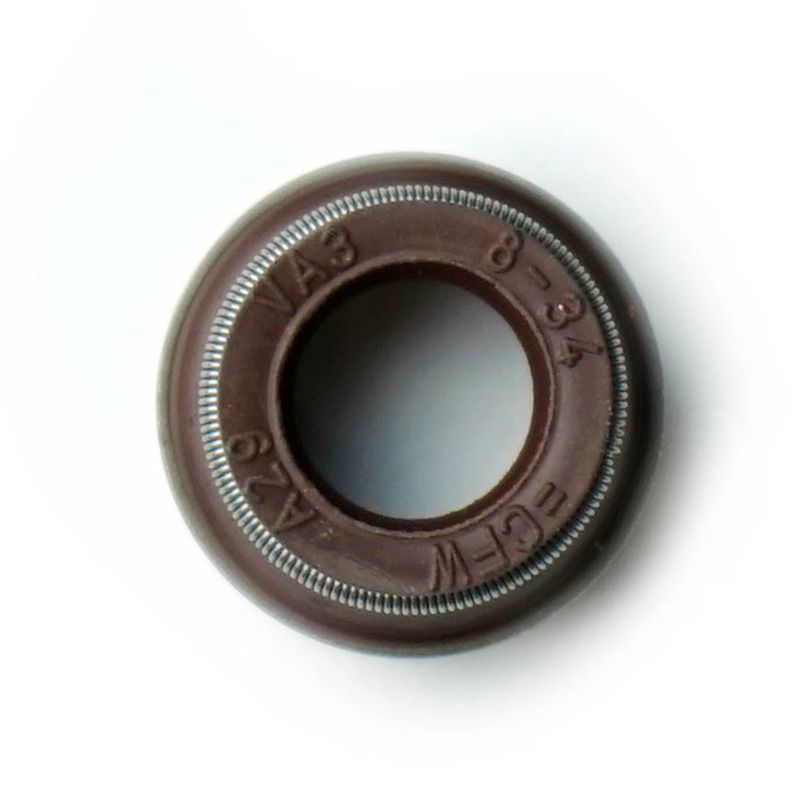 Paraolio Guidavalvola 