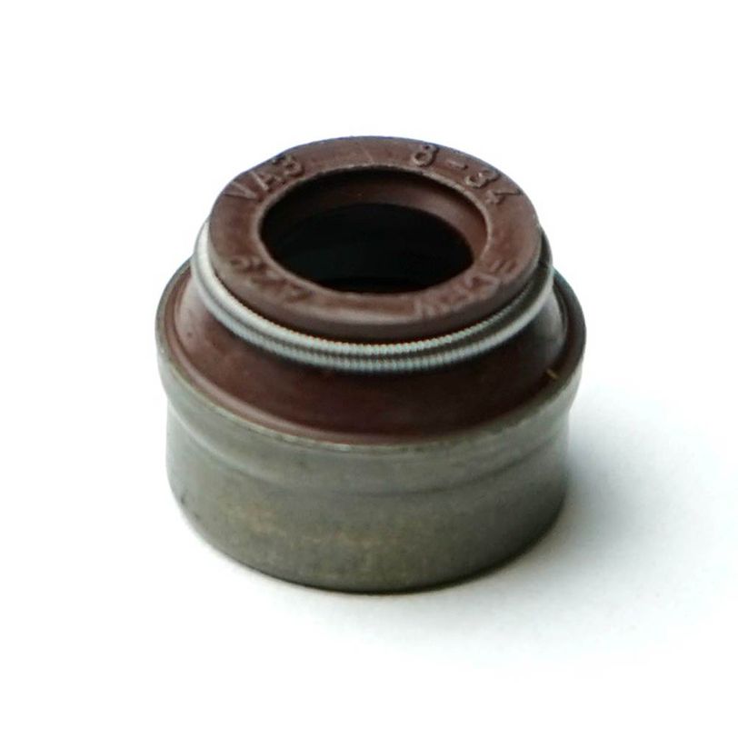 Paraolio Guidavalvola 