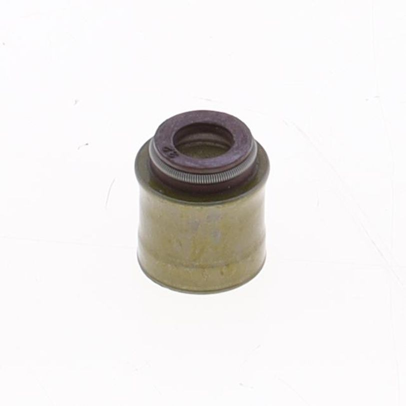Paraolio Guidavalvola 