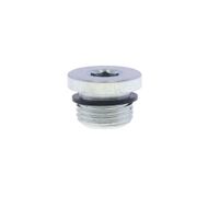 Plug with hexagon socket with flat packing ring - high pressure application