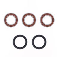 Rear Wheel Bearing Kit