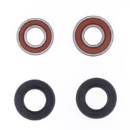 Rear Wheel Bearing Kit