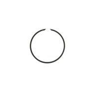 Ring Ø 45x5 mm for Athena Piston