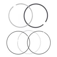 Ring Set Ø 101 mm for Athena Piston