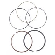 Ring Set Ø 95,5 mm for Athena Piston