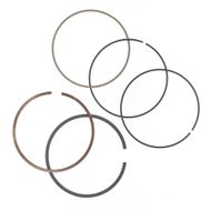 Segmento Ø 100 mm para pistón Athena