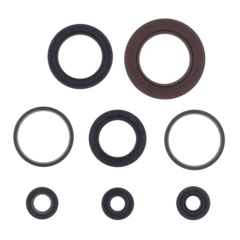 Serie Paraolio Motore