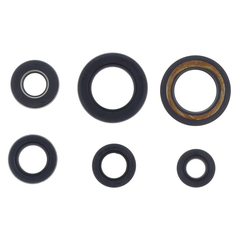 Serie Paraolio Motore