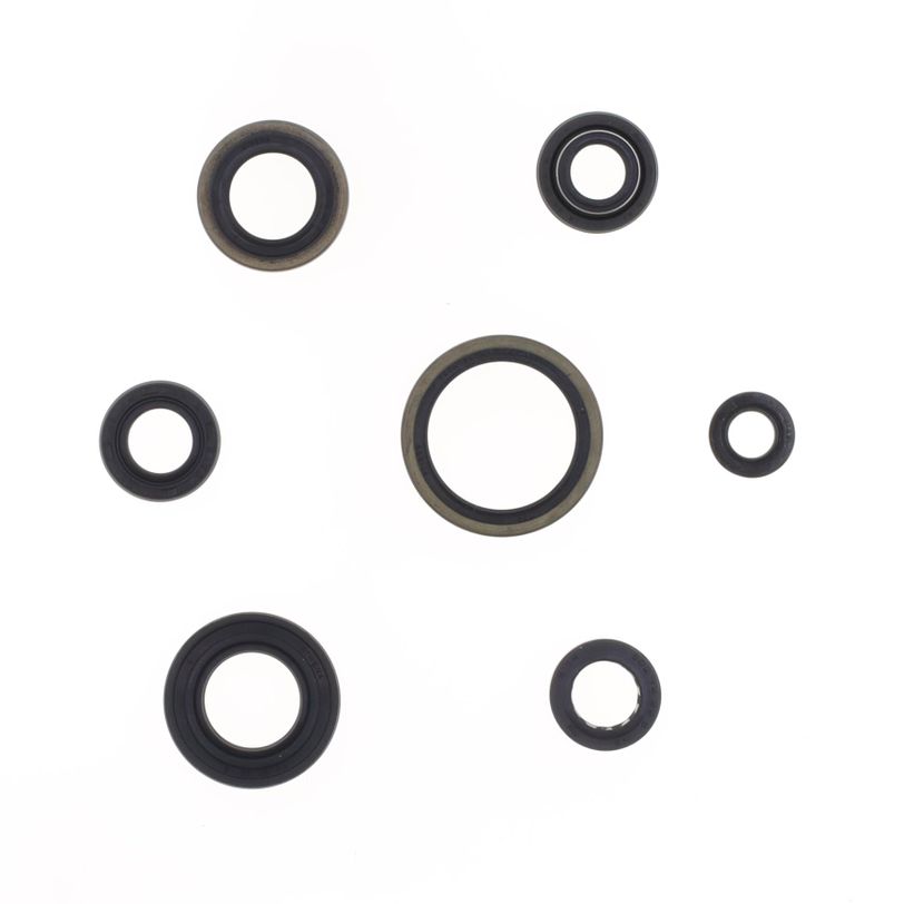 Serie Paraolio Motore