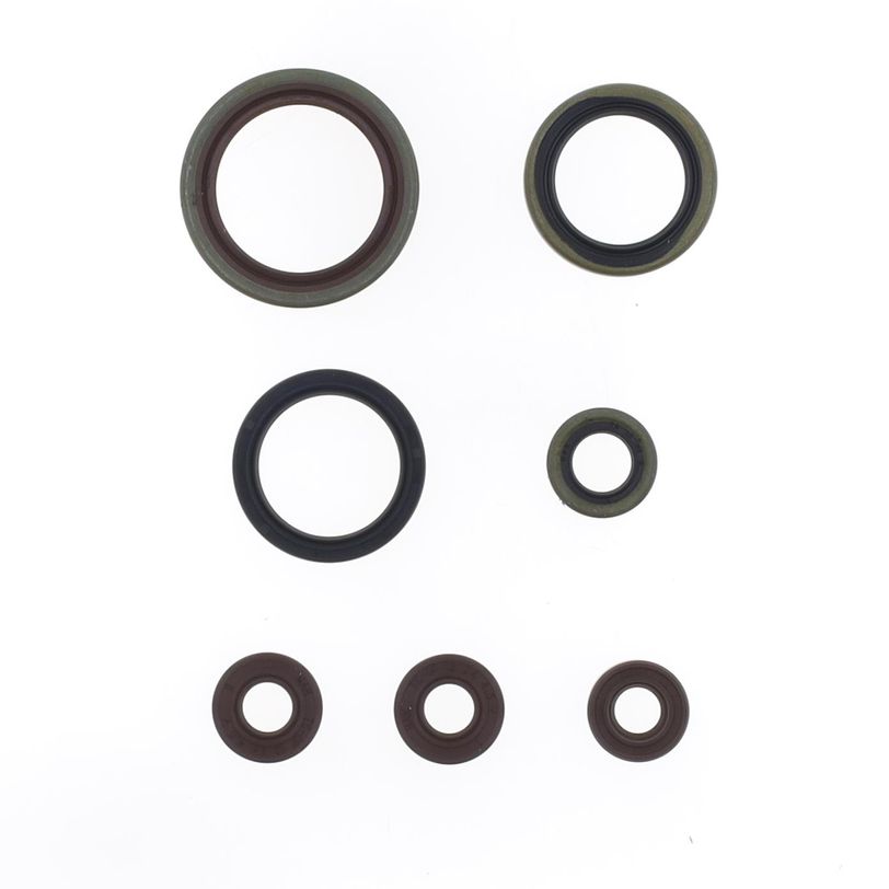 Serie Paraolio Motore
