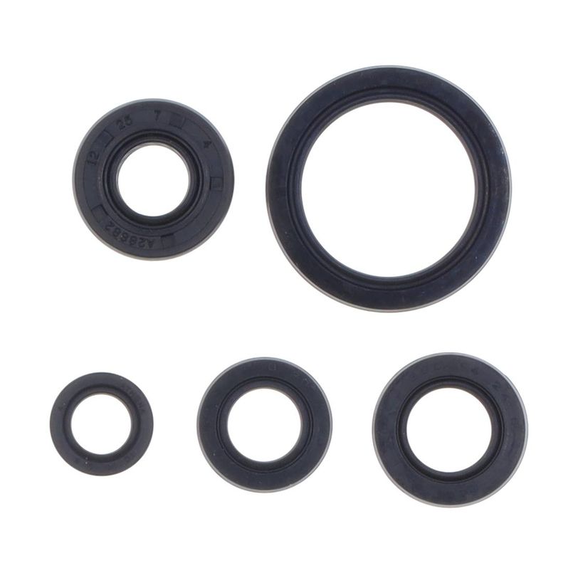 Serie Paraolio Motore