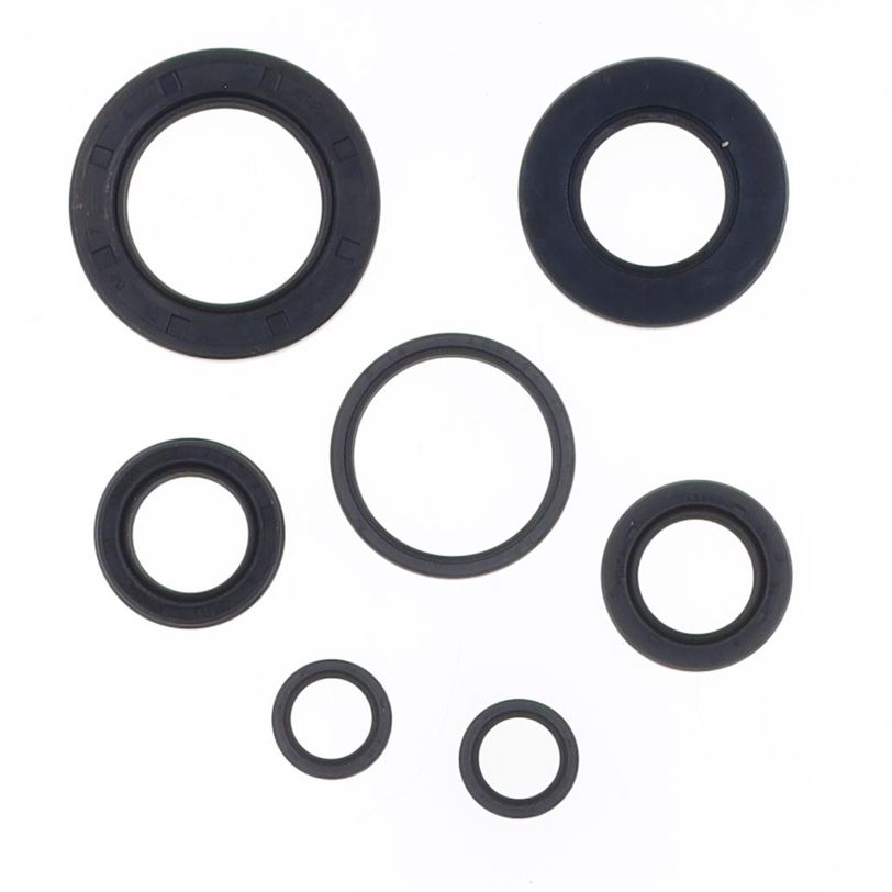 Serie Paraolio Motore