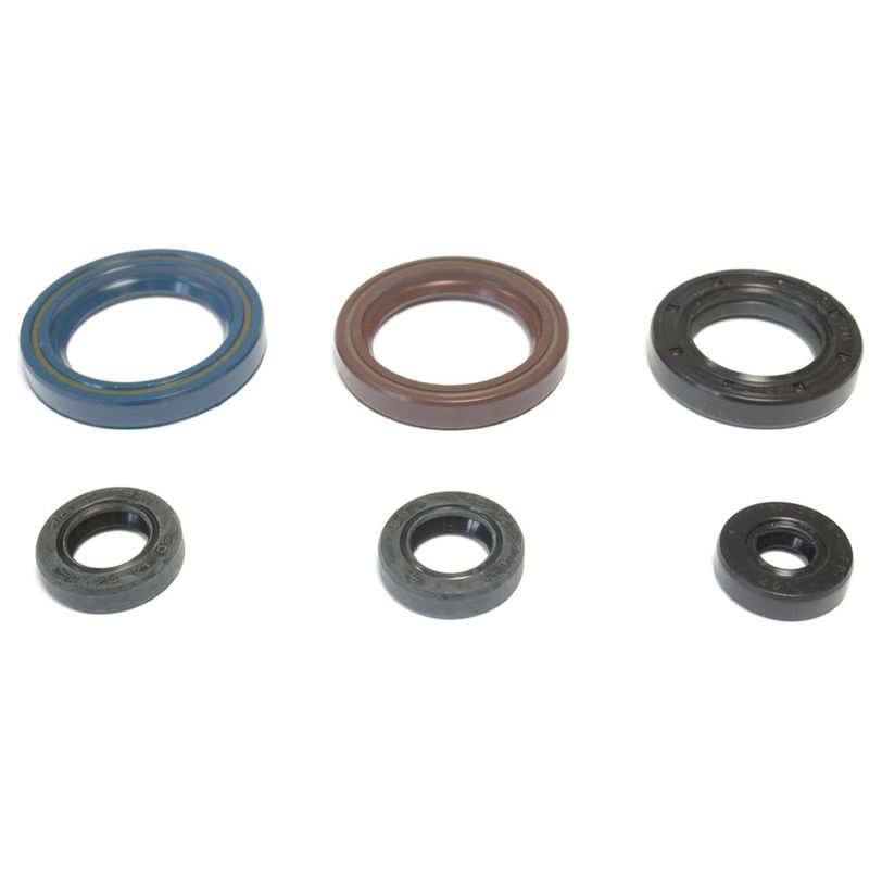 Serie Paraolio Motore