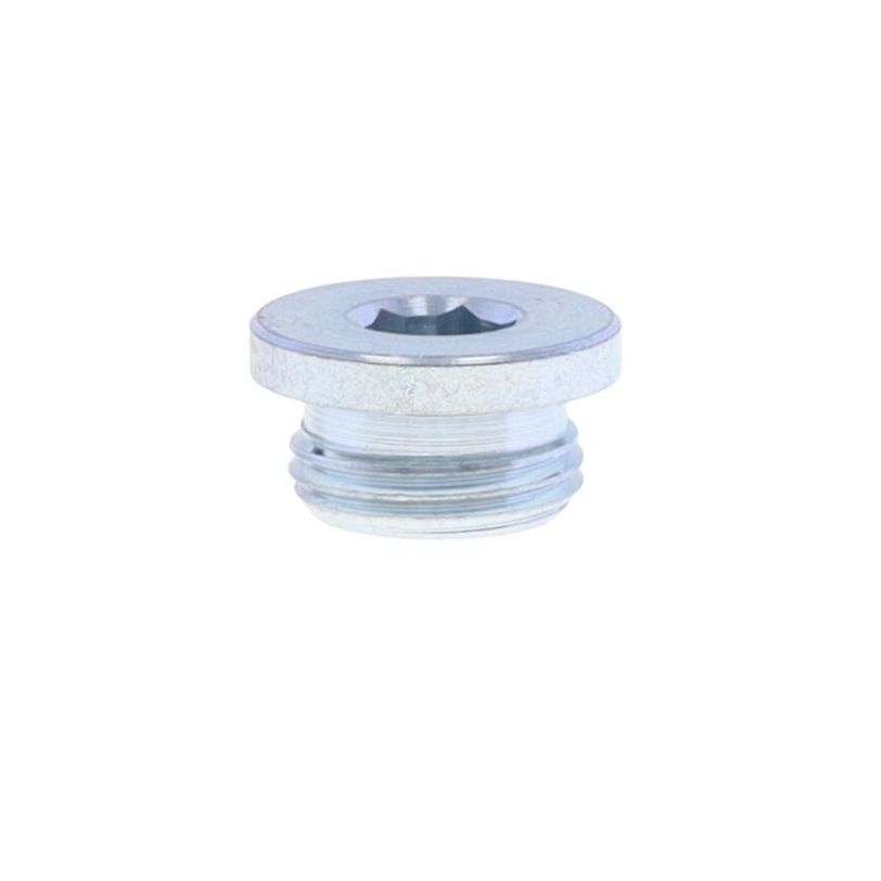 Short hexagon socket screw plug with OR made of zinc plated steel