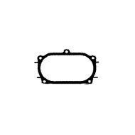 Side Intake Manifold Gasket
