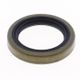 Spare Oil Seal