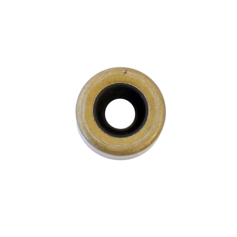 Spare Oil Seal