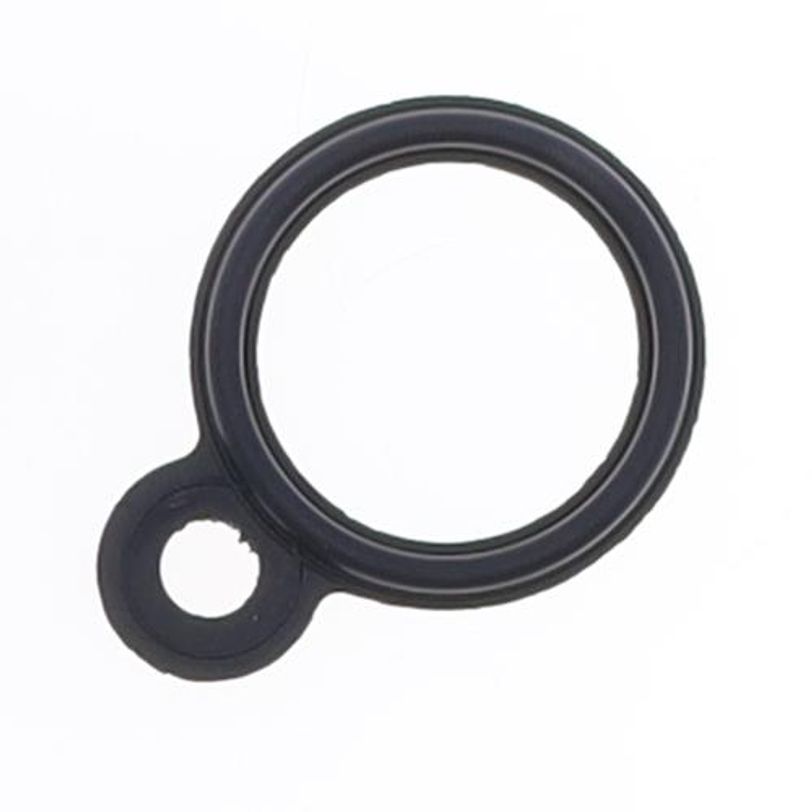 Spark Plug Hole Gasket