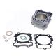 Standard Bore Cylinder Kit Ø 77 mm, 250 cc with Gaskets (no piston included)