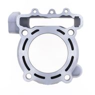 Standard Bore Cylinder Kit Ø 77 mm, 250 cc