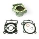 Standard Bore Cylinder Kit Ø 78 mm, 250 cc with Gaskets (no piston included)