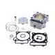Standard Bore Cylinder Kit Ø 79 mm, 250 cc with Gaskets 