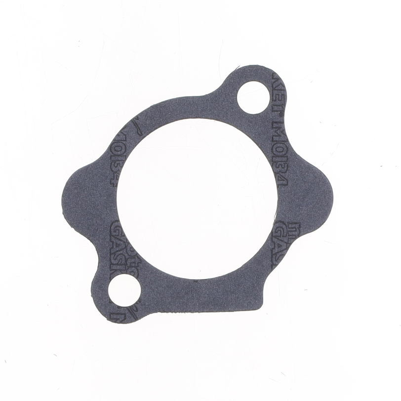 Starter Mount Gasket