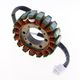 Stator