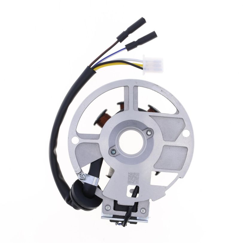 Statore, 1 Connettore da 3 pin + 2 Cavi