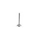 Steel Exhaust Valve