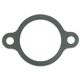 Thermostat Gasket