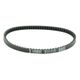Transmission Belt