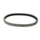 Transmission Belt