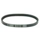 Transmission Belt