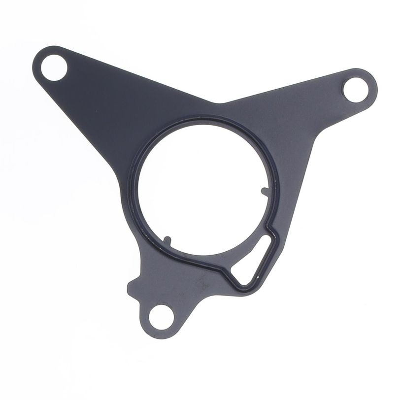 Vacuum Pump Gasket