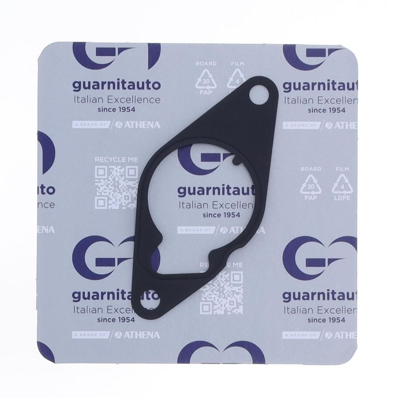 Vacuum Pump Gasket