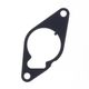 Vacuum Pump Gasket